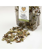 The Bunny Bum Bunny Bum Mélisse