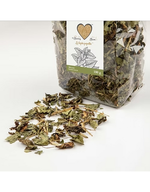 The Bunny Bum Bunny Bum Mélisse