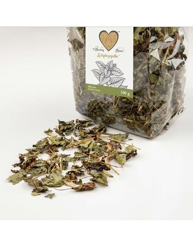 The Bunny Bum Bunny Bum Mélisse