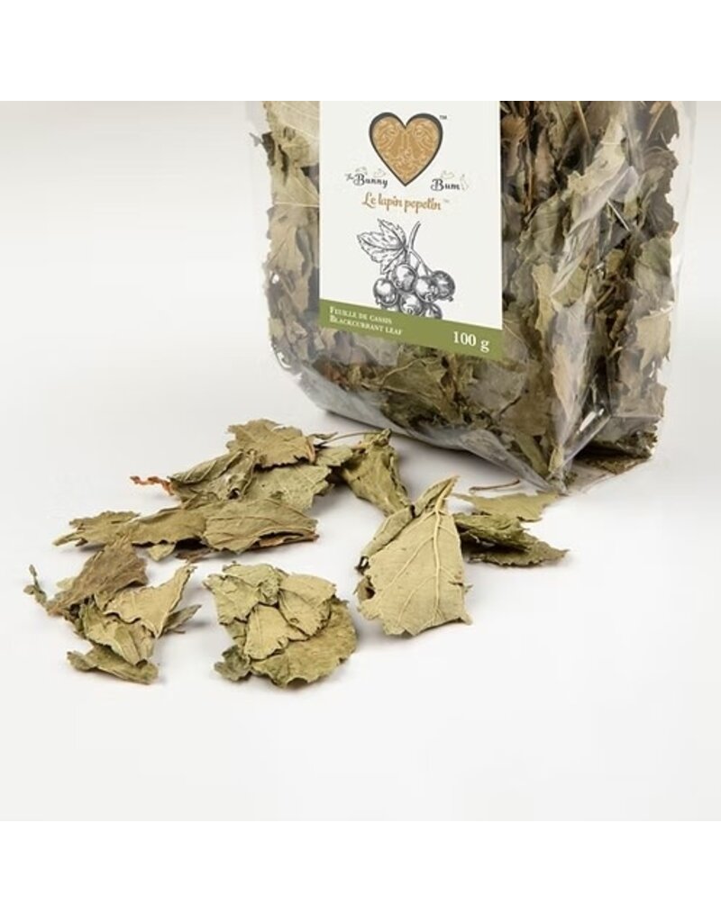 The Bunny Bum The Bunny Bum feuille de cassis (100g)