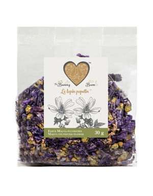 The Bunny Bum Bunny Bum Fleur Malva Sylvestris