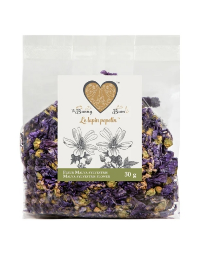The Bunny Bum Bunny Bum Fleur Malva Sylvestris