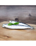 Big Country Raw Big Country Raw sardines 1 lb