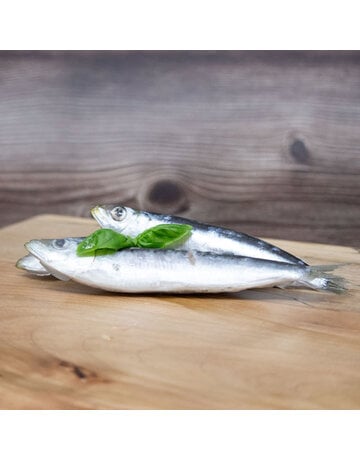 Big Country Raw Big Country Raw sardines 1 lb