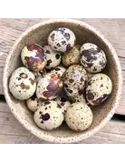 Big Country Raw Big Country Raw oeufs de cailles congelés 18pqt