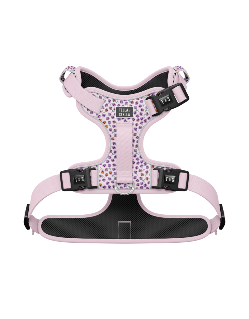 Tella & Stella Tella & Stella harnais avec poignée - violette grand