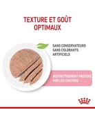 Royal Canin Royal Canin chaton conserve mousse multipack 12x85g