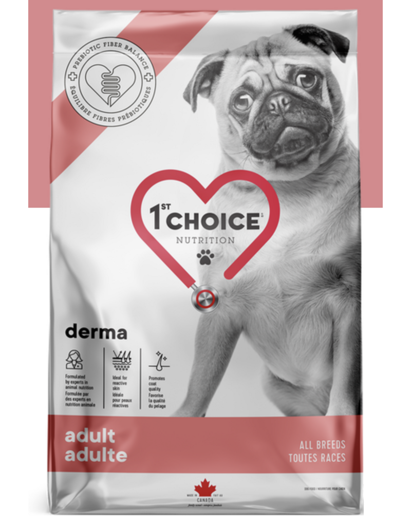 1st choice 1st Choice chien adulte derma 2kg