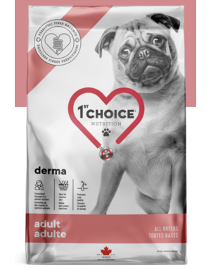 1st choice 1st Choice chien adulte derma 12kg
