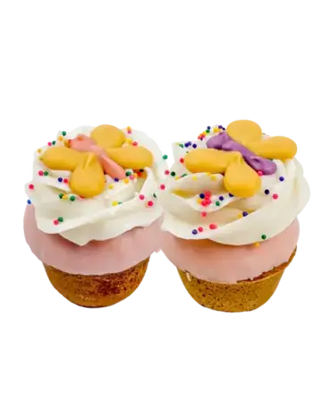 Bosco & Roxy's Bosco & Roxy cupcakes papillons