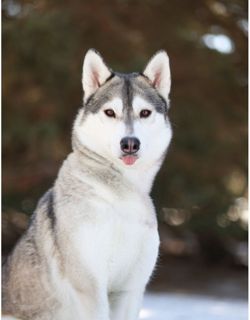 LUNA