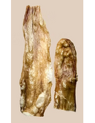 Kyon Distribution Kyon lanière de vessie de boeuf 6" (50)