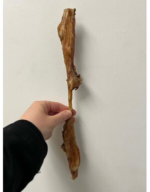 Kyon Distribution Kyon bâton de vessie de boeuf 12" (25)