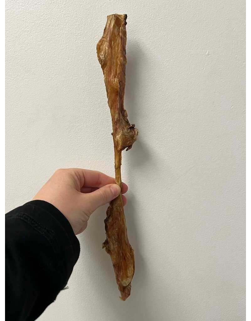 Kyon Distribution Kyon bâton de vessie de boeuf 12" (25)