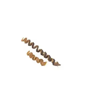 Kyon Distribution Kyon bullystick spirale 6" (10)