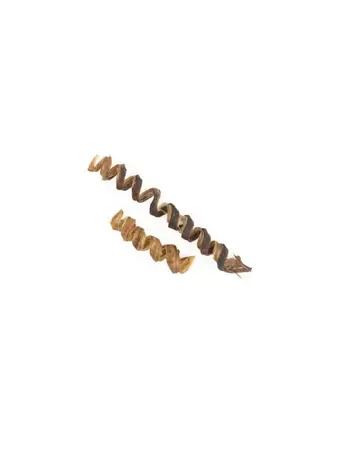 Kyon Distribution Kyon bullystick spirale 6" (10)