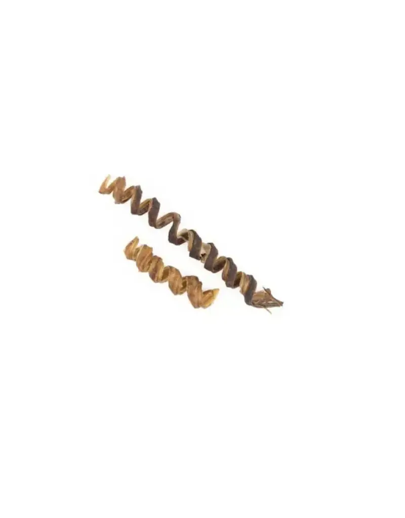 Kyon Distribution Kyon bullystick spirale 6" (10)