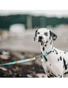 Tella & Stella Tella & Stella collier pour chien surfin'USA