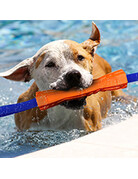 Nerf Nerf dog megaton competition stick