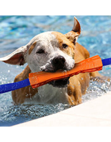 Nerf Nerf dog megaton competition stick