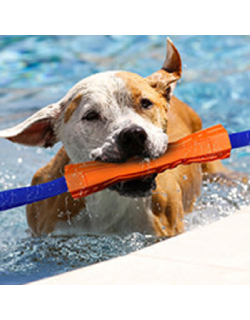 Nerf Nerf dog megaton competition stick