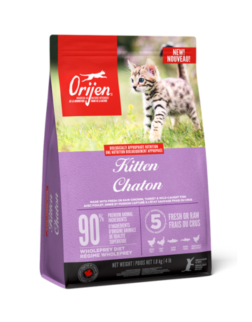 Orijen Orijen chaton