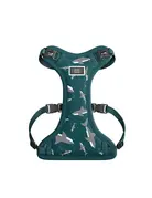 Tella & Stella Tella & Stella harnais shark attack chien très petit