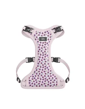 Tella & Stella Tella & Stella harnais violette chien très petit