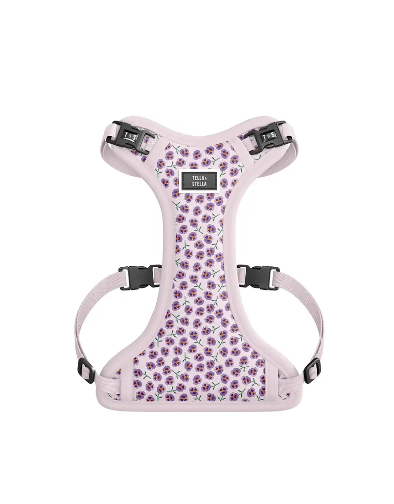 Tella & Stella Tella & Stella harnais violette chien très petit
