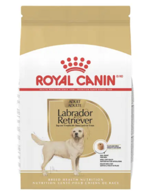Royal Canin Royal Canin labrador