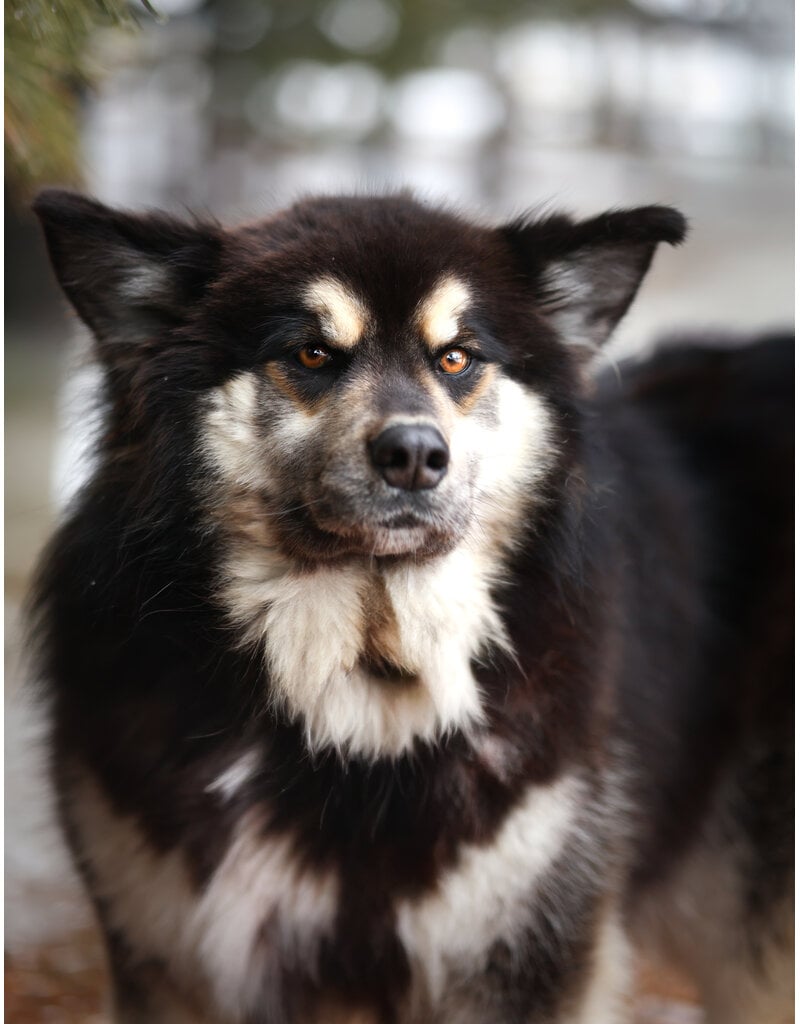 FLUFFY