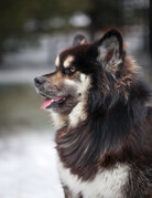 FLUFFY