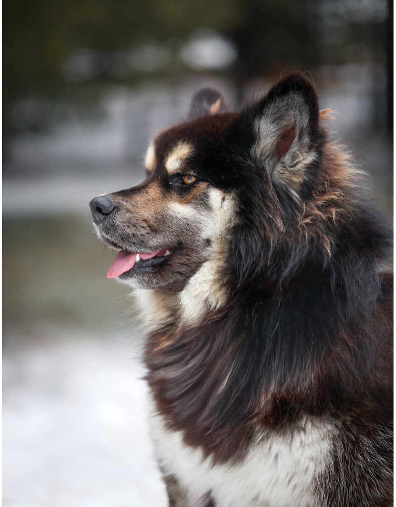 FLUFFY