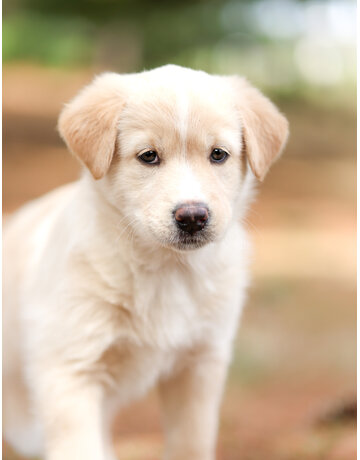 WINNIE