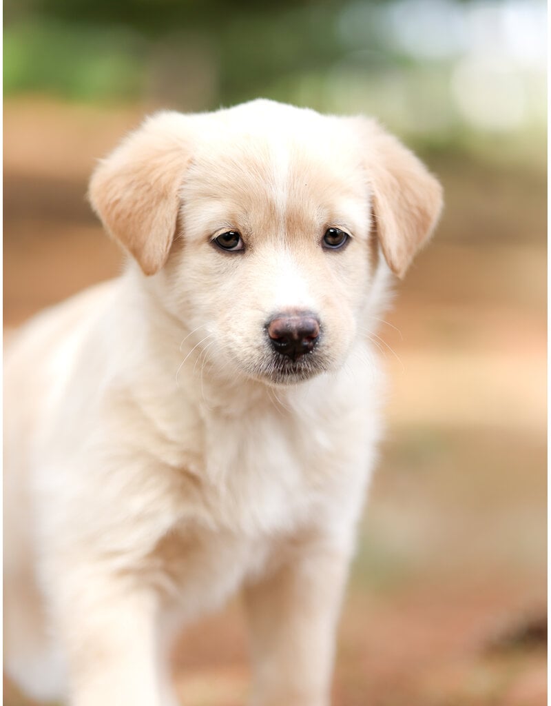 WINNIE