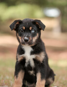 YUKON