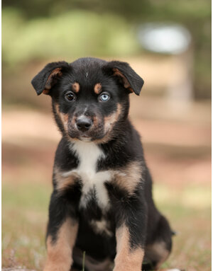 YUKON