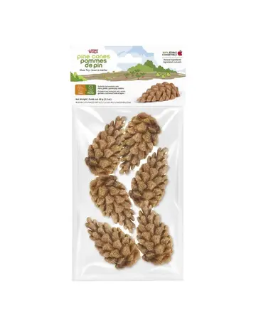 Living World Living World Jouet à mâcher comestible en pommes de pin pour petits animaux – paquet de 6