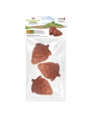 Living World Living World Jouet à mâcher comestible en fraises pour petits animaux – paquet de 3