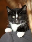JACK