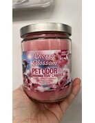 pet odor Chandelle enzymatique Fleur de cerisier.