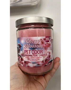 pet odor Chandelle enzymatique Fleur de cerisier.
