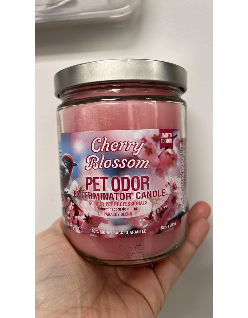 pet odor Chandelle enzymatique Fleur de cerisier.