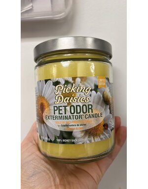 pet odor Chandelle enzymatique Picking Daisies.