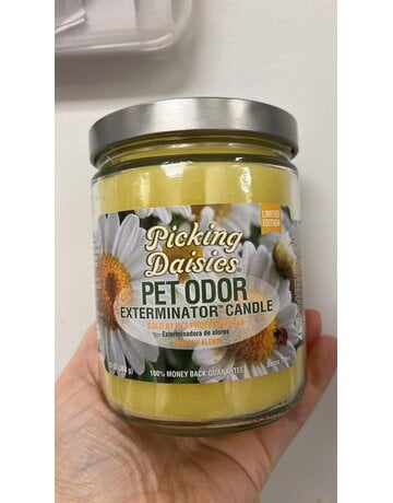 pet odor Chandelle enzymatique Picking Daisies.