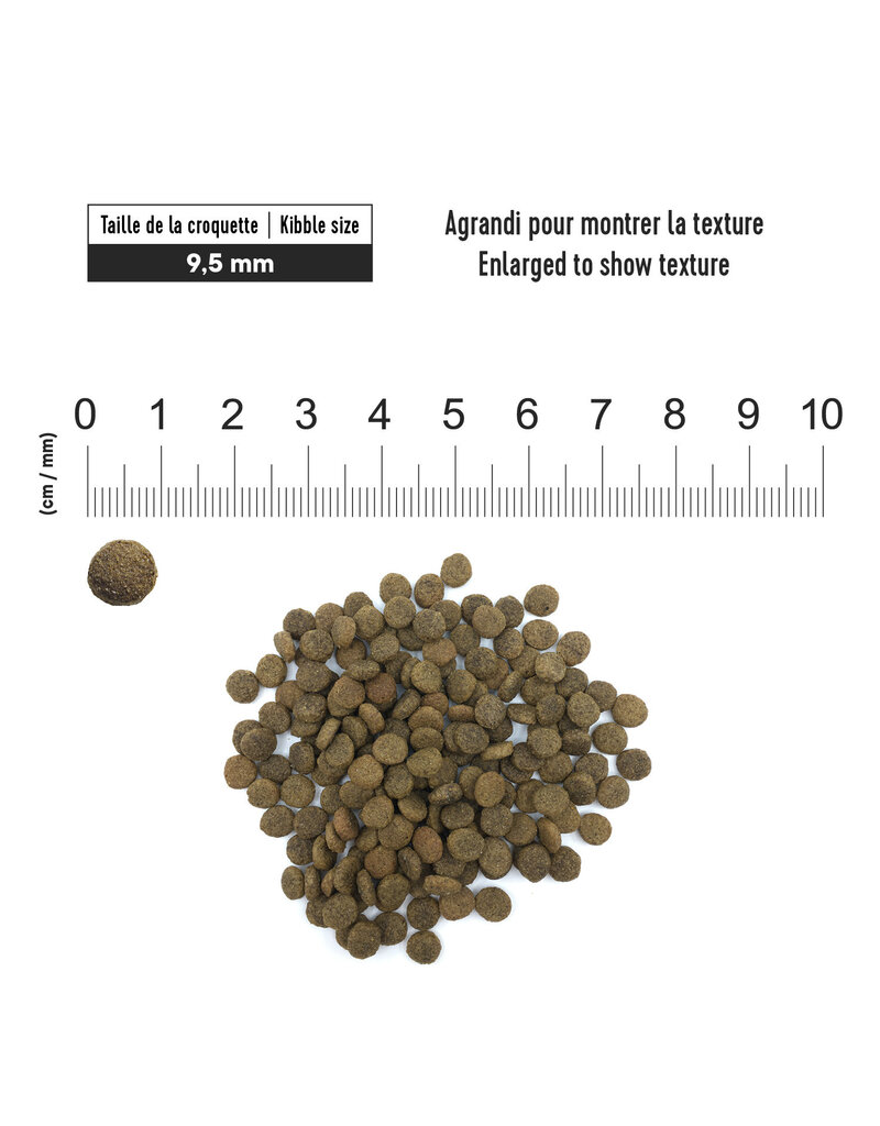 1st choice 1st Choice chat hypoallergène canard adulte 4.54kg