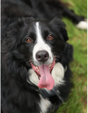 JACK