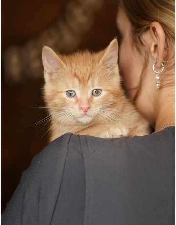 CARAMEL
