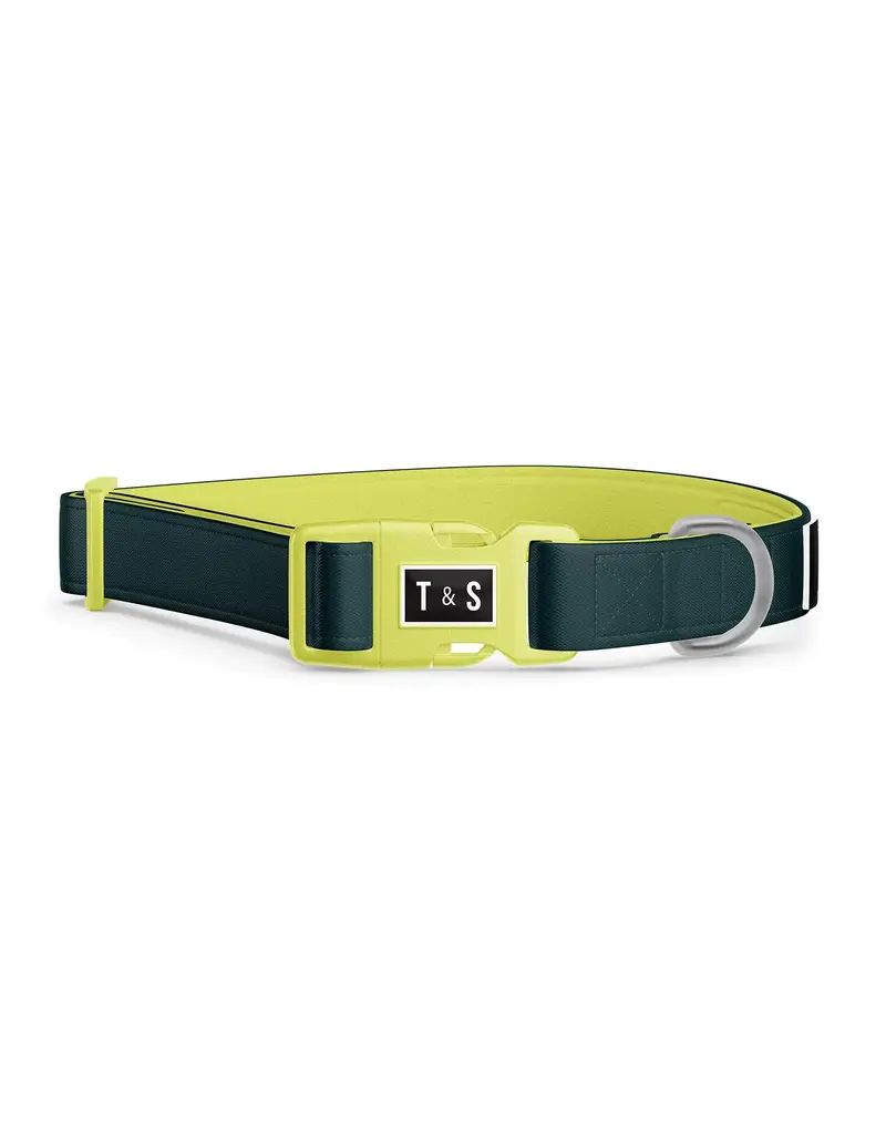Tella & Stella Tella & Stella collier pour chien vert forêt et lime grand
