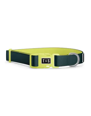 Tella & Stella Tella & Stella collier pour chien vert forêt et lime moyen